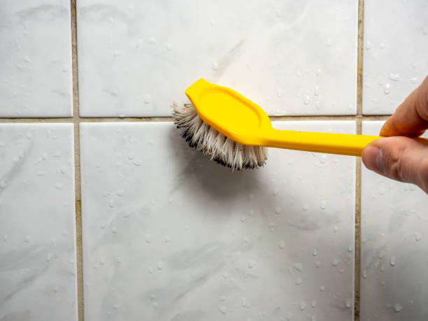Best Insurance-Related Mold Remediation in Big Rapids, MI